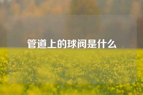 管道上的球阀是什么