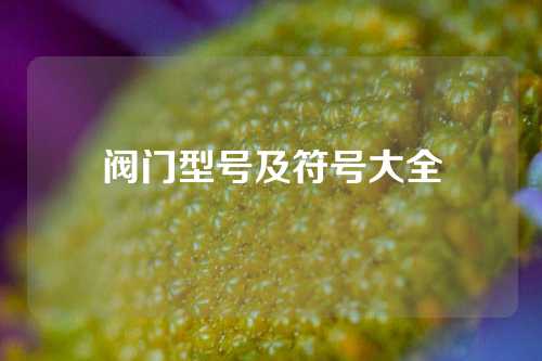 阀门型号及符号大全