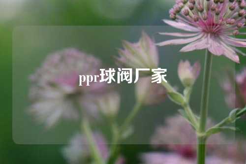 ppr球阀厂家