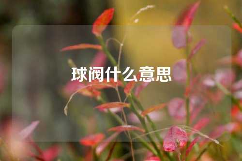 球阀什么意思