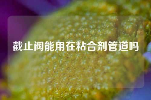 截止阀能用在粘合剂管道吗