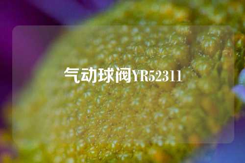 气动球阀YR52311