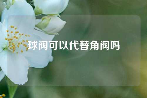 球阀可以代替角阀吗