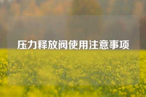 压力释放阀使用注意事项