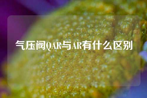 气压阀QAR与AR有什么区别