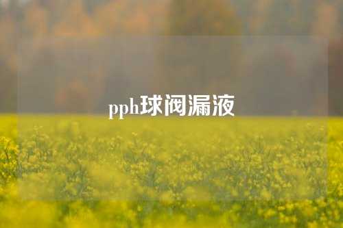 pph球阀漏液