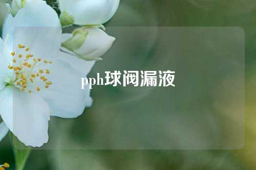 pph球阀漏液