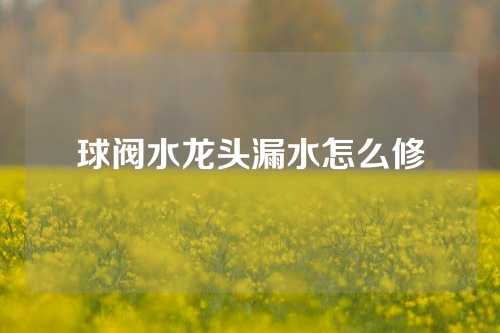 球阀水龙头漏水怎么修