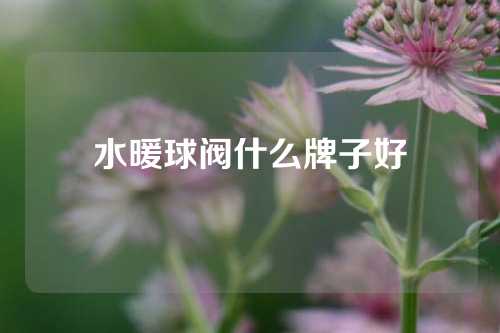 水暖球阀什么牌子好