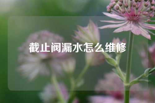 截止阀漏水怎么维修