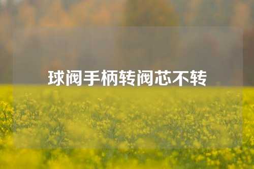 球阀手柄转阀芯不转