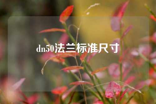 dn50法兰标准尺寸