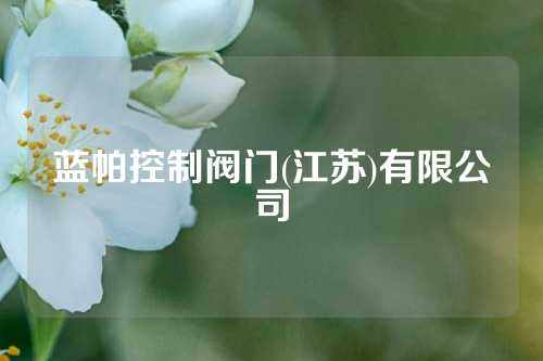 蓝帕控制阀门(江苏)有限公司