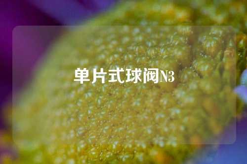 单片式球阀N3