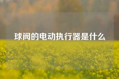 球阀的电动执行器是什么