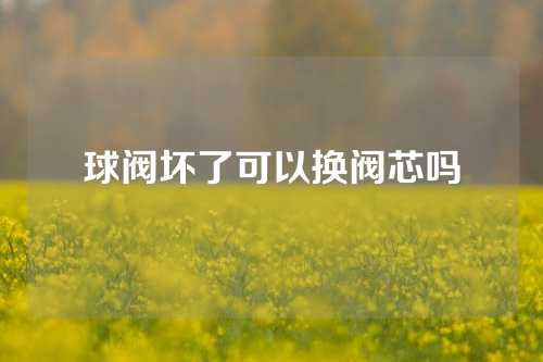 球阀坏了可以换阀芯吗