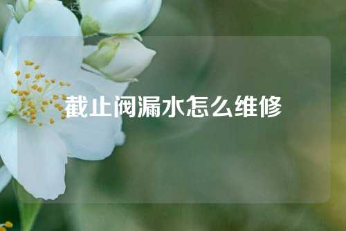 截止阀漏水怎么维修