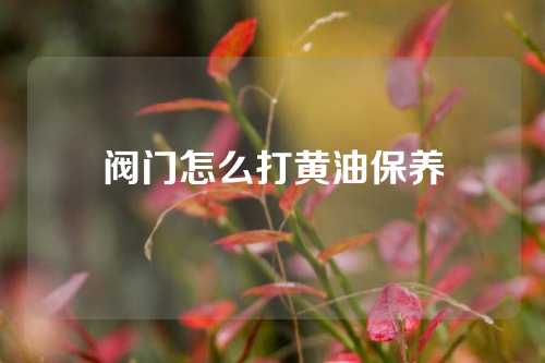 阀门怎么打黄油保养