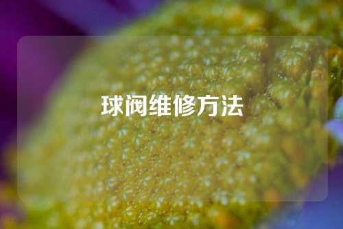 球阀维修方法