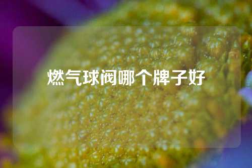 燃气球阀哪个牌子好