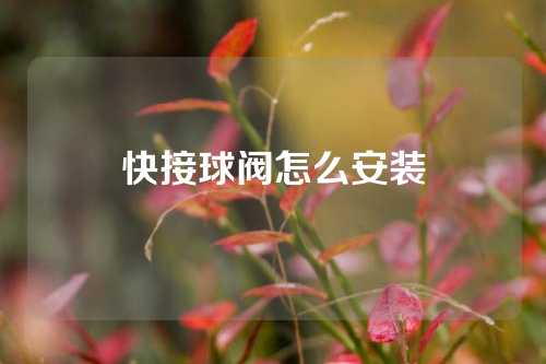 快接球阀怎么安装