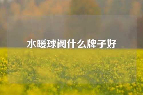 水暖球阀什么牌子好