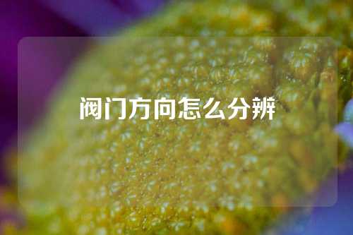 阀门方向怎么分辨