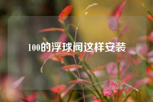 100的浮球阀这样安装