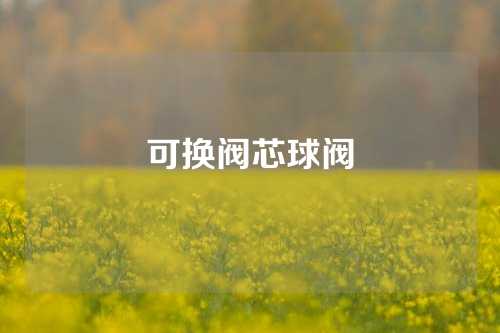 可换阀芯球阀