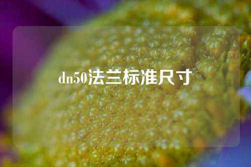 dn50法兰标准尺寸