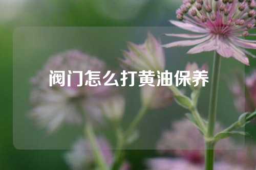 阀门怎么打黄油保养