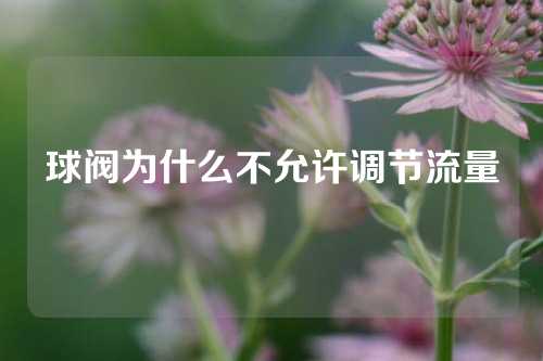 球阀为什么不允许调节流量