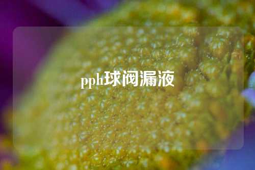 pph球阀漏液