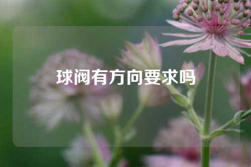 球阀有方向要求吗