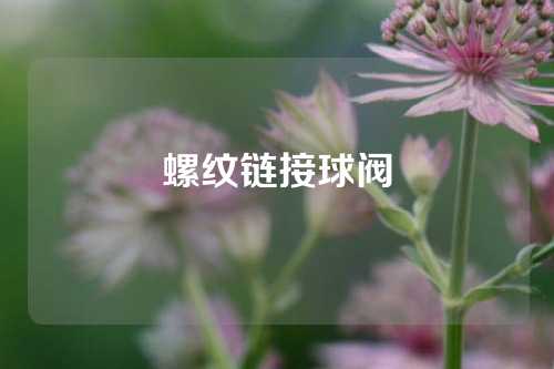 螺纹链接球阀