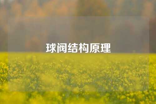 球阀结构原理