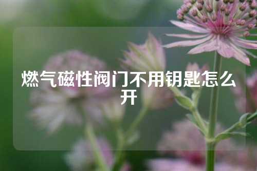 燃气磁性阀门不用钥匙怎么开