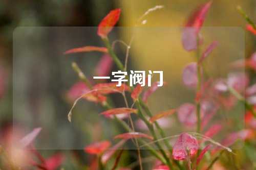 一字阀门