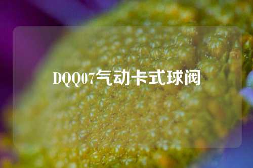 DQQ07气动卡式球阀