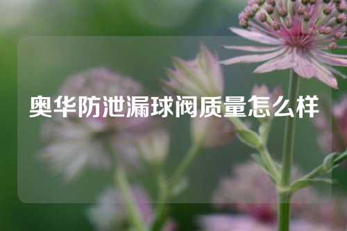 奥华防泄漏球阀质量怎么样