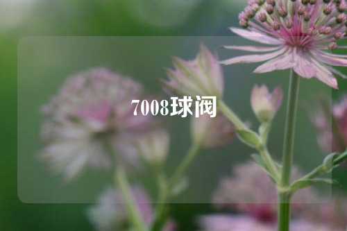 7008球阀