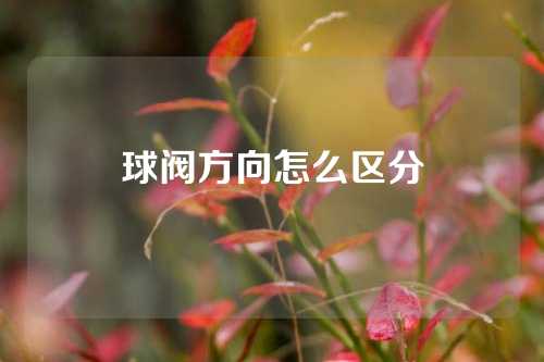 球阀方向怎么区分