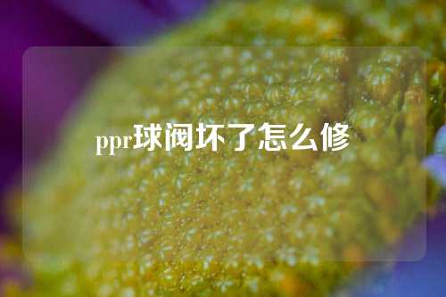 ppr球阀坏了怎么修