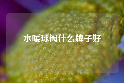 水暖球阀什么牌子好