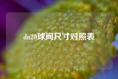 dn20球阀尺寸对照表