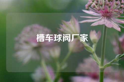 槽车球阀厂家