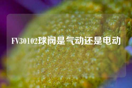 FV30102球阀是气动还是电动