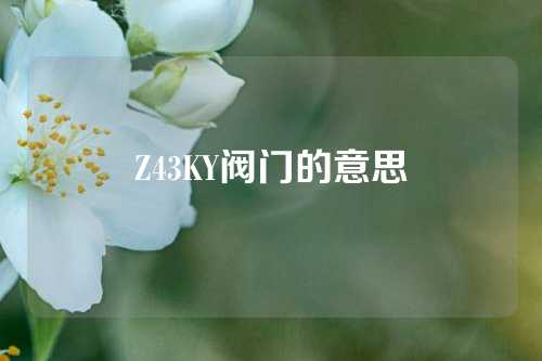 Z43KY阀门的意思