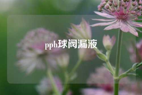 pph球阀漏液