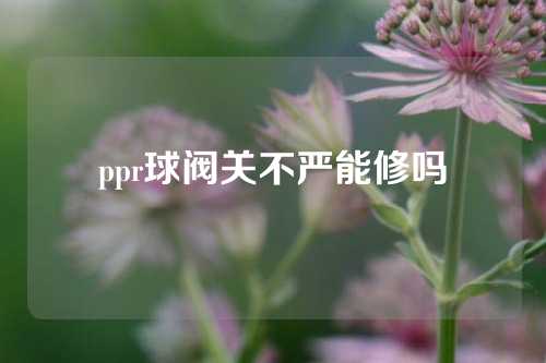 ppr球阀关不严能修吗